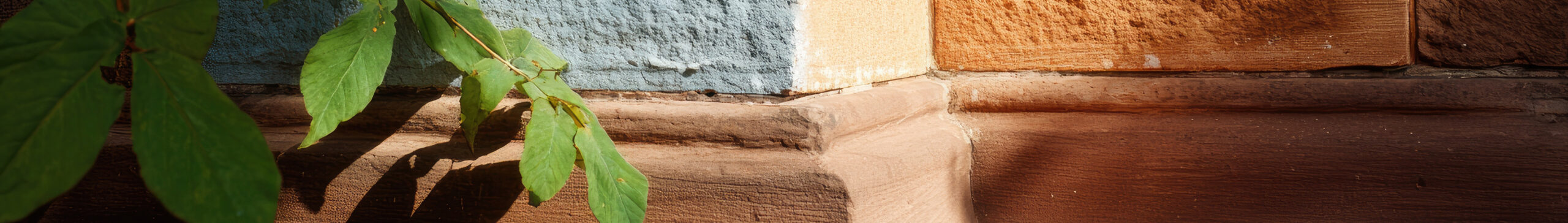 Corner of a building, painted blocks, leaves